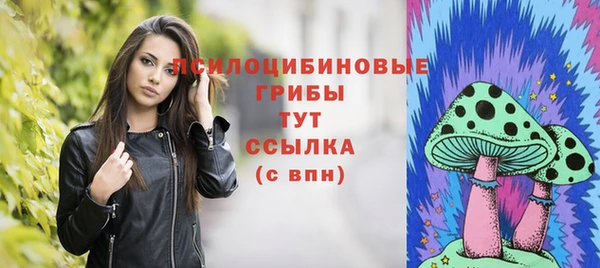 дживик Алзамай
