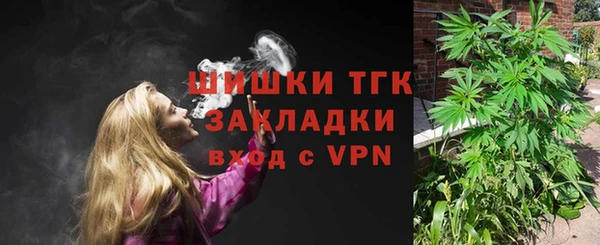 дживик Алзамай