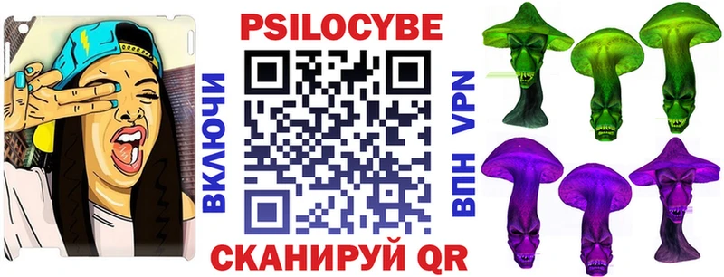 наркошоп Лысково Псилоцибиновые грибы мицелий